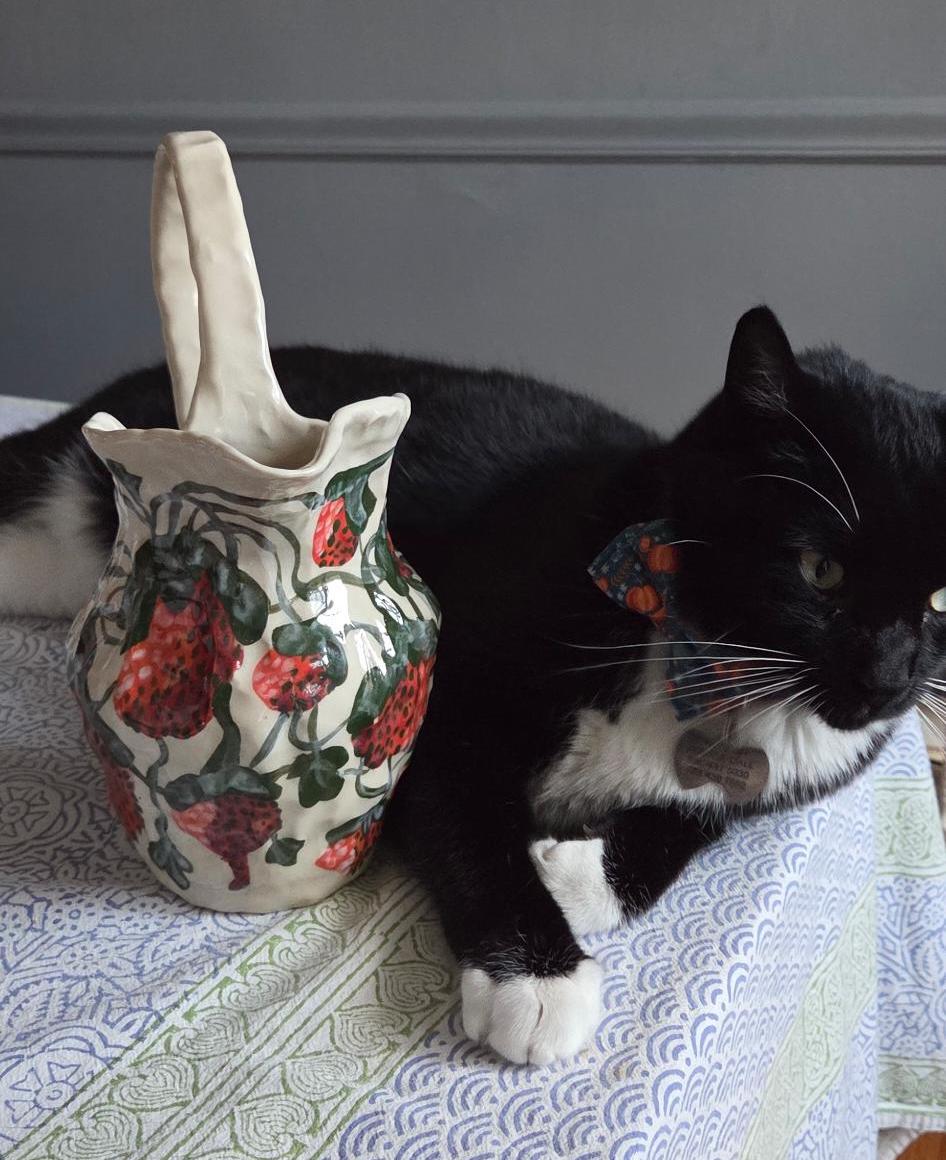 Pitcher - Strawberry Season