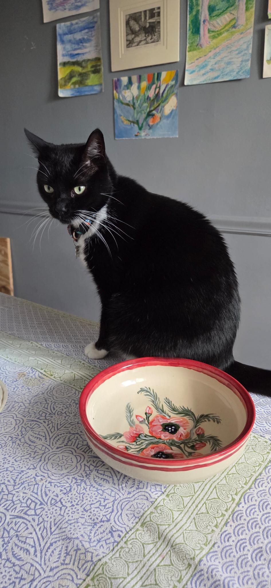 Bowl - Poppy Season - Collaboration between Zoey Murphy Houser